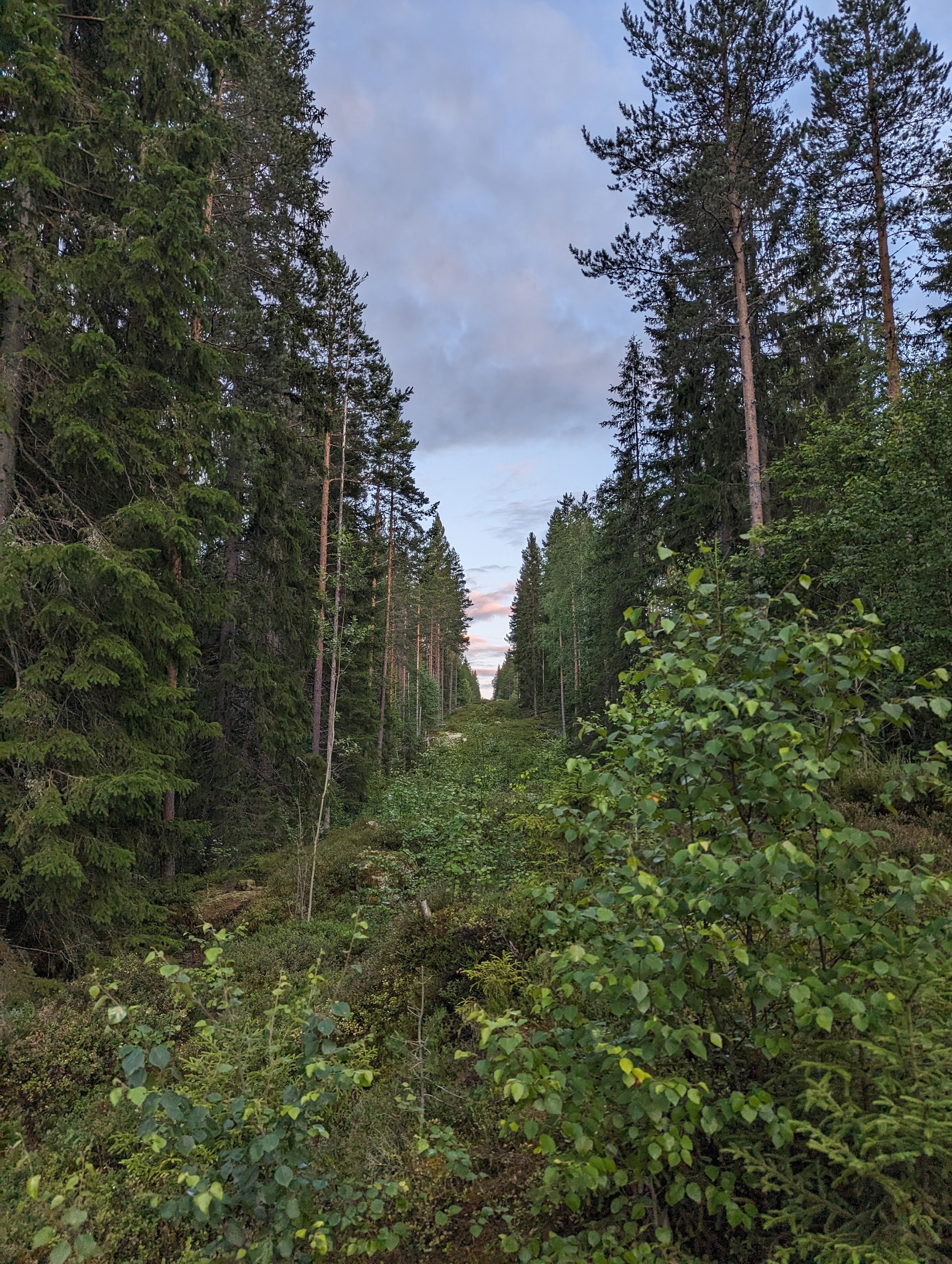 Gränssten Sverige/Norge